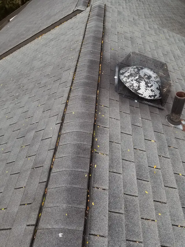 Wildlife exclusion mesh fitted over a roof vent opening