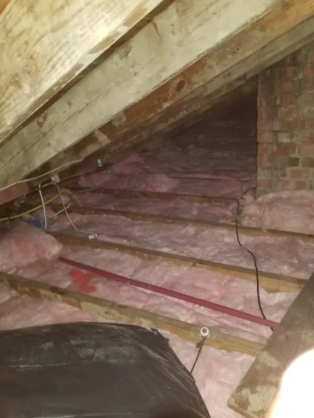 What the noise in your attic is telling you
